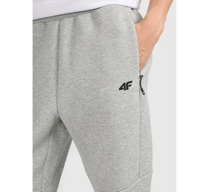 Pánské tepláky typu jogger model 22073478 - 4F