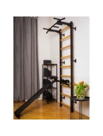 GYMNASTICKÝ ŽEBŘÍK SE CVIČEBNÍ TYČÍ, ZÁBRADLÍM A LAVIČKOU 723B