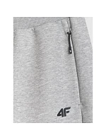 Pánské tepláky typu jogger model 22073478 - 4F