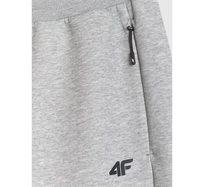 Pánské tepláky typu jogger model 22073478 - 4F