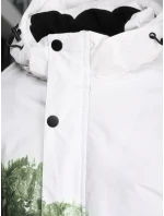 Pánská zimní lyžařská bunda zelená FashionStreet TX5126