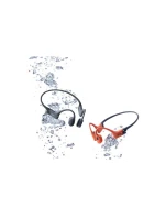 Bejo Rekes Jr. uzávěry 92800337347 N/A Bejo Rekes Jr. uzávěry 92800337347 N/A