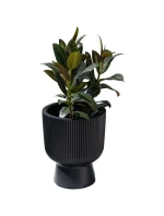 Květinový rybník MILLY, 24 cm v průměru BÍLÝ