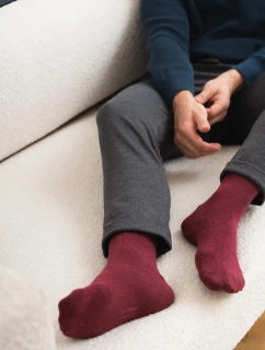 Pánské ponožky  4146 model 18998074 - Steven