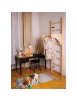 DŘEVĚNÝ ŽEBŘÍK S LAVIČKOU 112