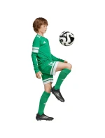Dětské tričko adidas Squadra 25 s dlouhým rukávem zelené JN7491