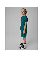 Chlapecké rychleschnoucí sportovní šortky model 22151626 - 4F