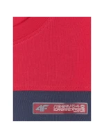 Pánské tričko s potiskem 4F 4FRAW25TTSHM3292-31S