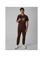 Tshirt regular z nadrukiem męski model 22551907 - 4F Tshirt regular z nadrukiem męski model 22551907 - 4F
