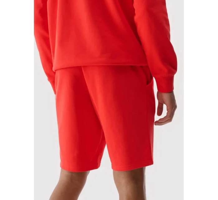 Pánské kraťasy 4F