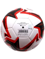 AC Milan fotbal 134489