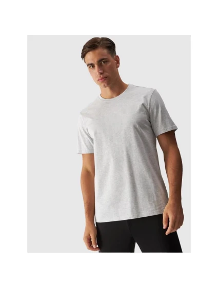 Pánské tričko s potiskem model 21432288 pánské - 4F Pánské tričko s potiskem model 21432288 pánské - 4F