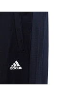 Tepláková souprava adidas Essentials Big Logo Junior HR6408