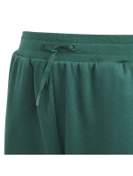 Adidas BLUV Q3 Pant Jr IA1553