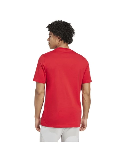 Polo Tričko Arsenal London FC  Graphic Tee model 21420607 - ADIDAS