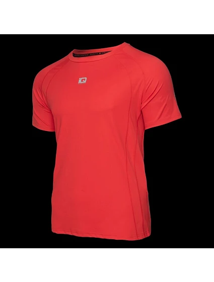 Pánské tričko model 22098410 s krátkým rukávem - IQ Pánské tričko model 22098410 s krátkým rukávem - IQ