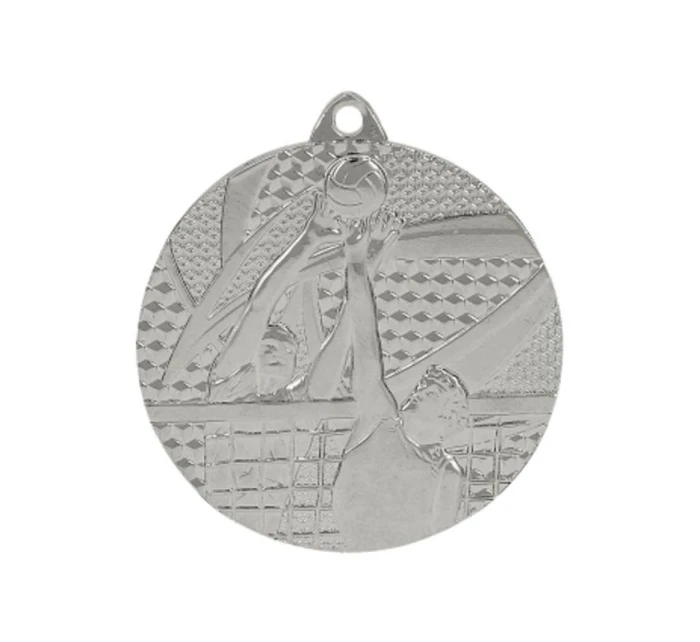 stříbrná medaile - volejbal