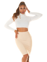 Sexy Musthave Highwaist Pencil Skirt with Zip