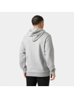 Helly Hansen pánská mikina s kapucí CORE HOODIE 54525 949 pánské Helly Hansen pánská mikina s kapucí CORE HOODIE 54525 949 pánské