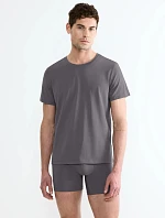 SLG BASE – Pánské O‑neck tričko z organické bavlny (regular fit) Sloggi