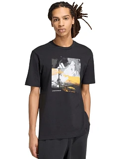 Pánské tričko  černé, model 22249970 - ADIDAS