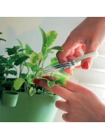 KRÁJEČE NA BYLINKY