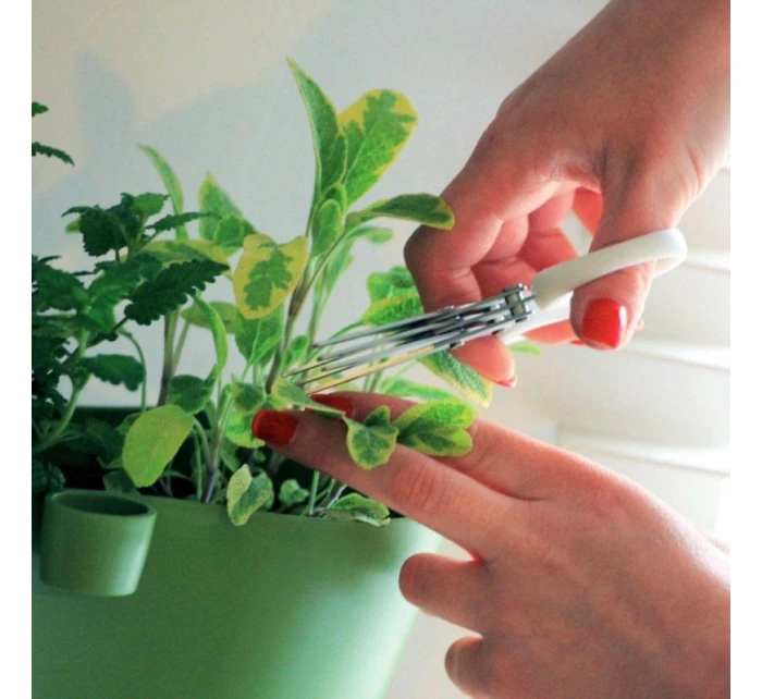 KRÁJEČE NA BYLINKY