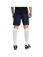 Pánské šortky Puma Team Goal navy blue 705752 06 Pánské šortky Puma Team Goal navy blue 705752 06