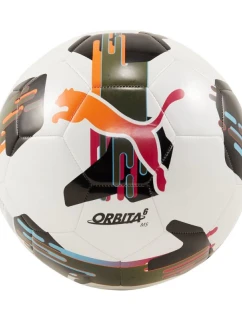 Orbit 6 MS fotbal model 20957409 01 - Puma