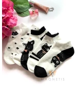 model 22021227 - Magnetis