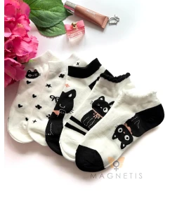 model 22021227 - Magnetis