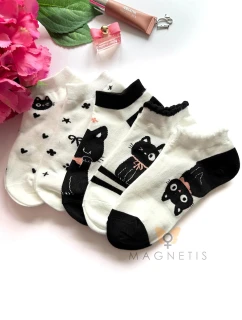 model 22021227 - Magnetis