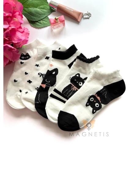 model 22021227 - Magnetis