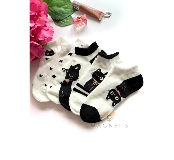 model 22021227 - Magnetis