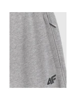 Pánské tepláky typu jogger 4F 4FRMM00TTROM1624-27M Pánské tepláky typu jogger 4F 4FRMM00TTROM1624-27M