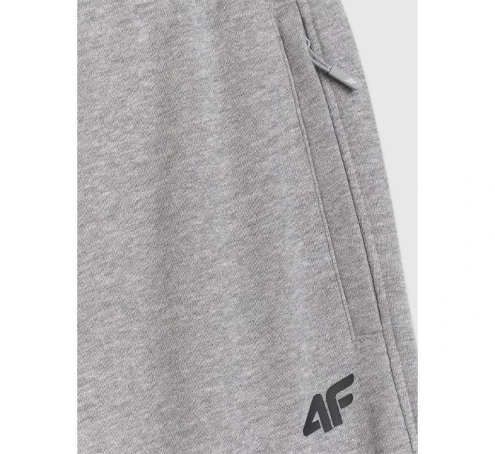 Pánské tepláky typu jogger 4F 4FRMM00TTROM1624-27M Pánské tepláky typu jogger 4F 4FRMM00TTROM1624-27M