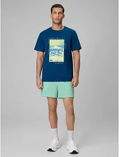 Pánské plážové šortky boardshorts 4F 4FRSS26UBDSM229-33S