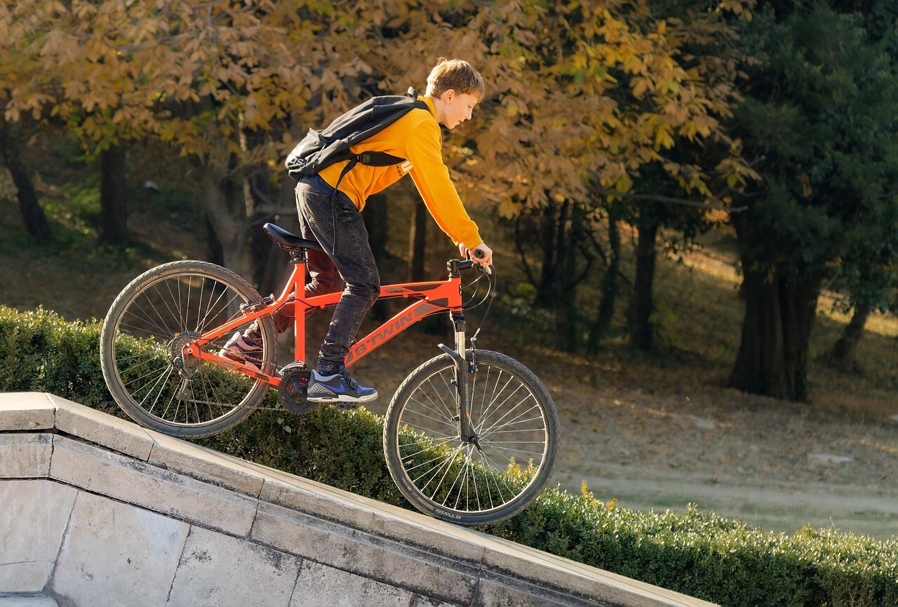 Image by Mircea Iancu from Pixabay