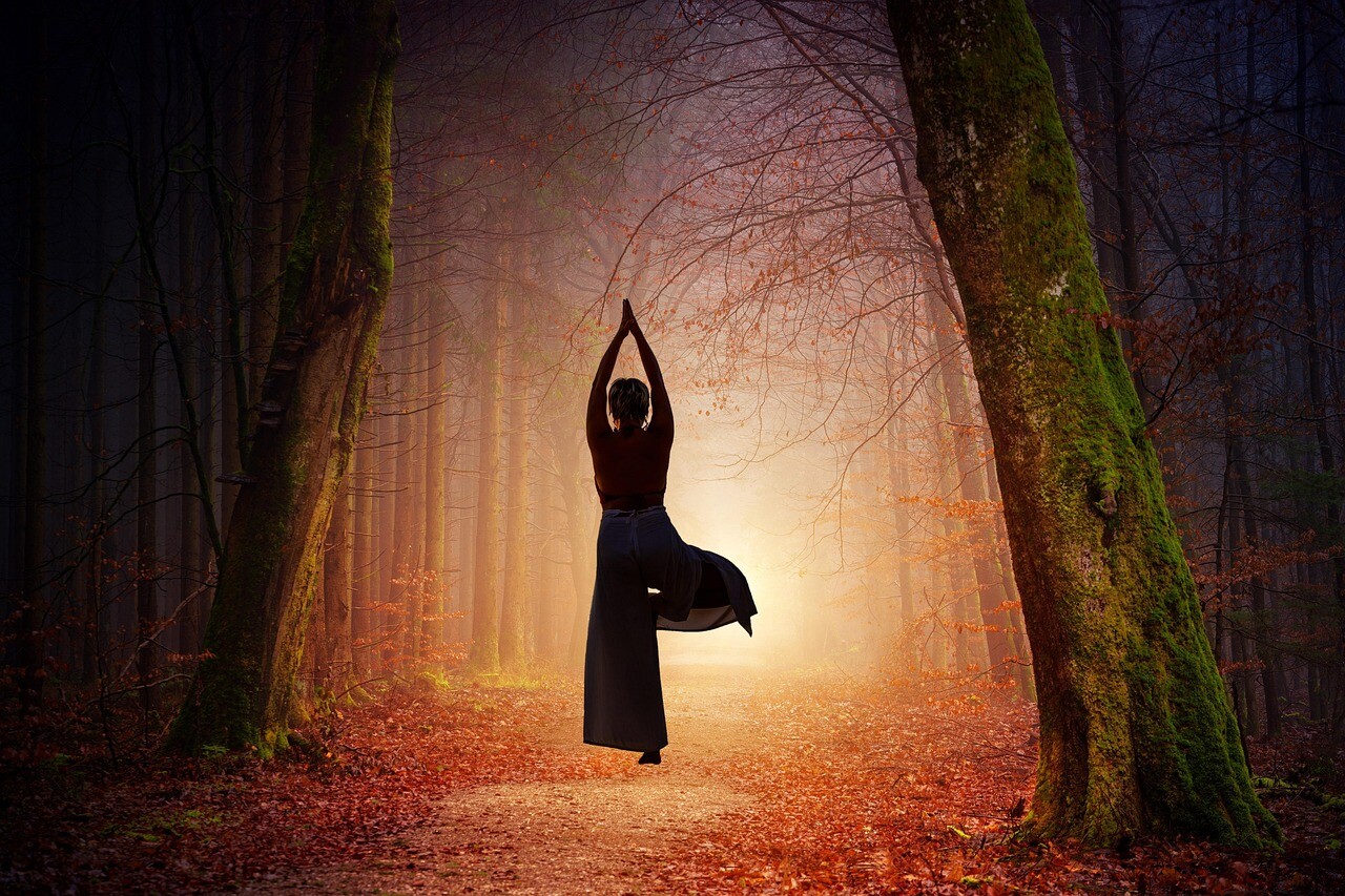 Image by Mircea Iancu from Pixabay